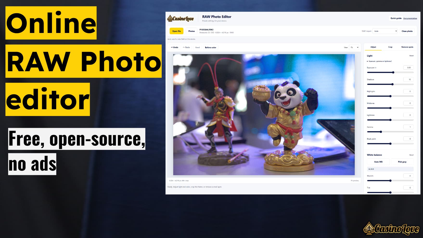 CasinoLove RAW Photo Editor Online